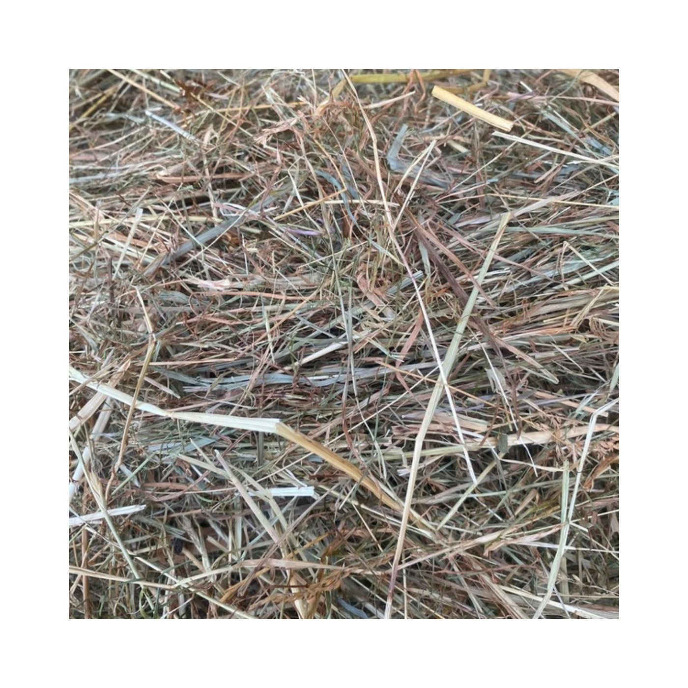 Grasstruktur der Heulage-Charge LEHDUE17062026 – Ansicht 3