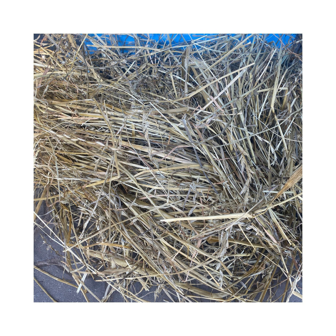 Grasstruktur der Heulage-Charge ROSBOACK29052026 – Ansicht 1