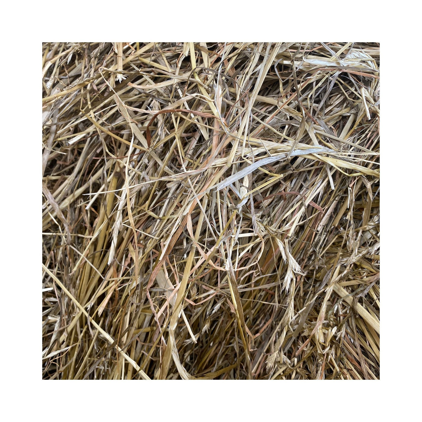Grasstruktur der Heulage-Charge ROSBOACK29052026 – Ansicht 2