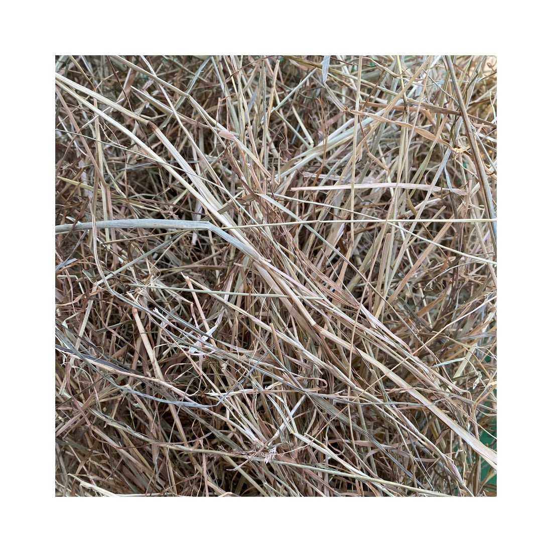 ROSDIB02072025 – Heulage Detail 1