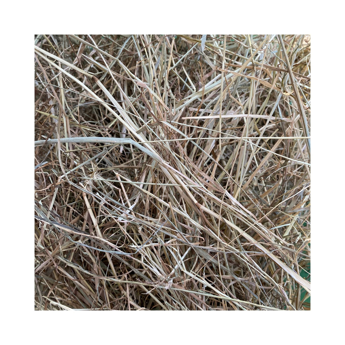 ROSDIB02072025 – Heulage Detail 1
