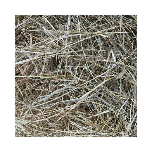 trockene Ansaatheulage 1. Schnitt