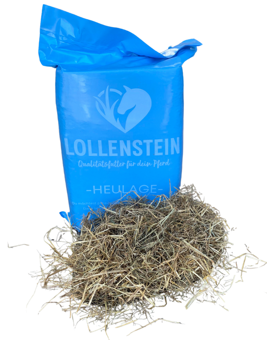 trockene Ansaatheulage 1. Schnitt