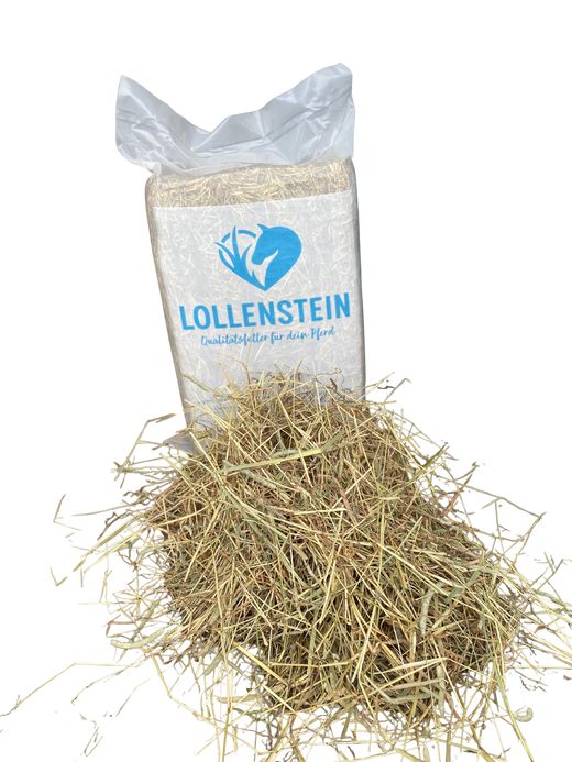 Ansaatheu light 1. Schnitt